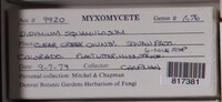 Image Associated With the Occurence